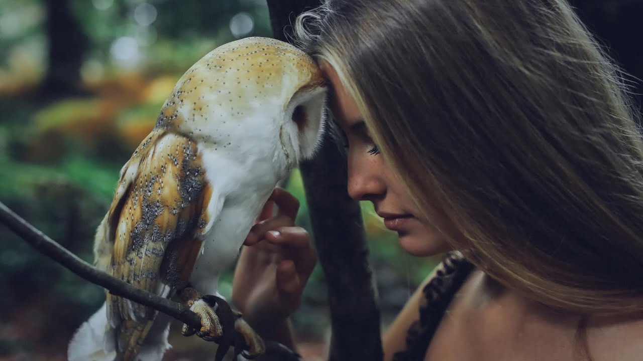 Maxresdefault 20 - PHOBIA ISAAC & SHAWN - Sayelha Lyoum ?