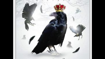 sddefault[1] - El Castro - Back To Black / ???? (Original Version)