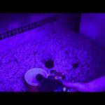 Hqdefault1 14 - Diib - Syrup (Freestyle)