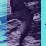 maxresdefault[1] - STXEV ABIDOV x FEDDINI x KTYB ——— JIBOO ( JE NE PLEURERAI PAS )