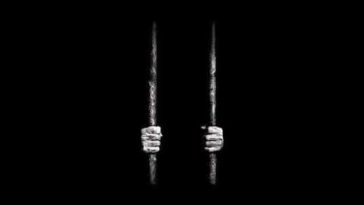 Hqdefault 71 - Didine Canon 16 - Freedom Prod by willy (Audio Officiel)