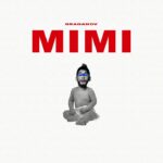 maxresdefault[1] - DRAGANOV - MIMI