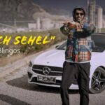 Blingos - Mouch Sahel