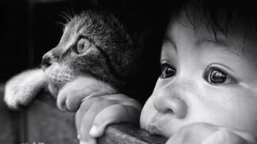 Didine Canon 16 - Victime